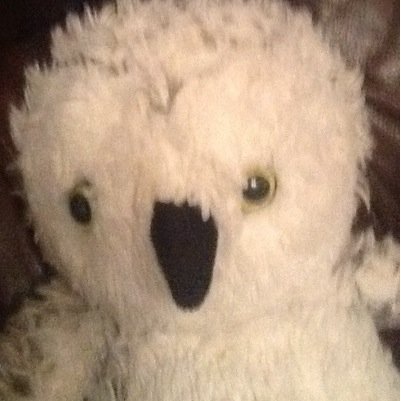 rhunter_37's profile picture. 