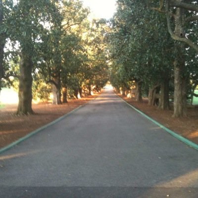 addisgolf's profile picture. Former Golf Professional, currently a high school history Teacher and Coach