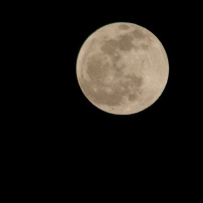 d2_juice's profile picture. 