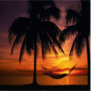 We offer, for FREE, the best prices and reviews on thousands of great hotels, flights and rental car companies. Book your trip today!