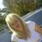 marietjiew911's profile image
