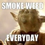 SmokeDBlueDream's profile picture. Just live life and smoke dank bud. :)