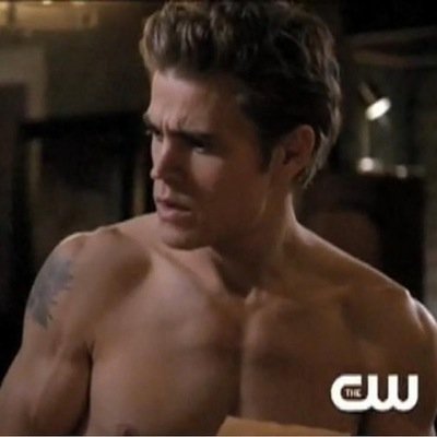 Im Stefan Salvatore, I am a Vampire,173 Years old, My Asshole of a brother - #Damon, Single & Looking, H: On
