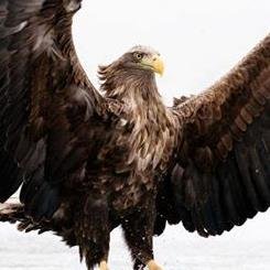 786DRKHAN's profile picture. Cardiologist/Endocrinologist & Diabetologist.
Health Consultant