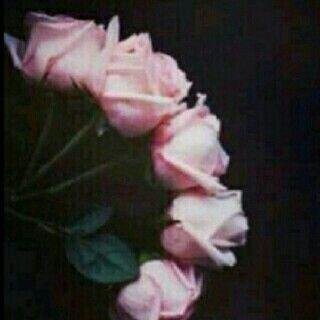 - سبحان الله وبحمده سبحان الله العظيم