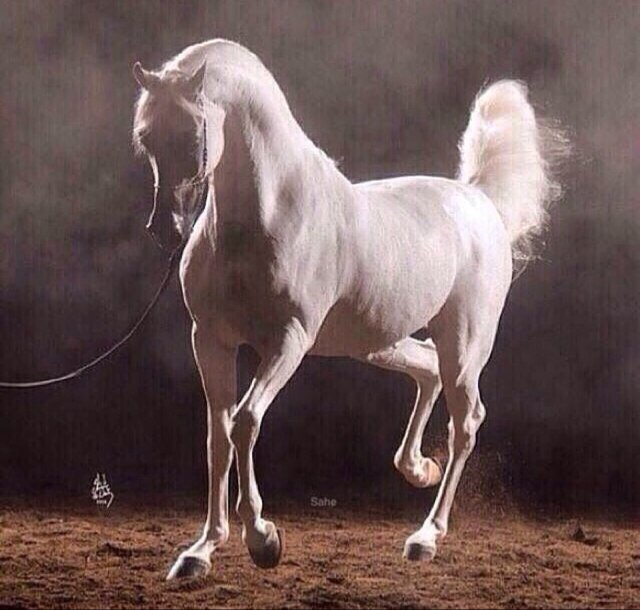 ‏يآرب هدوء النفس وحياة مليئة بكل مآ يرضيك .
