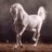 je_511's profile image