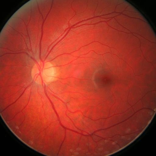 RBSketchbook's profile picture. Sketchbook of Notts artist Rosie B http://t.co/DhUtbJaSuV