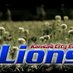 Kansas City East  (@kcelions) Twitter profile photo