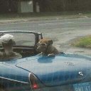 John Dando - @jdando71 - Twitter