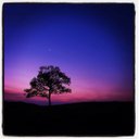 Andrea  - @AndreaMark131 - Twitter