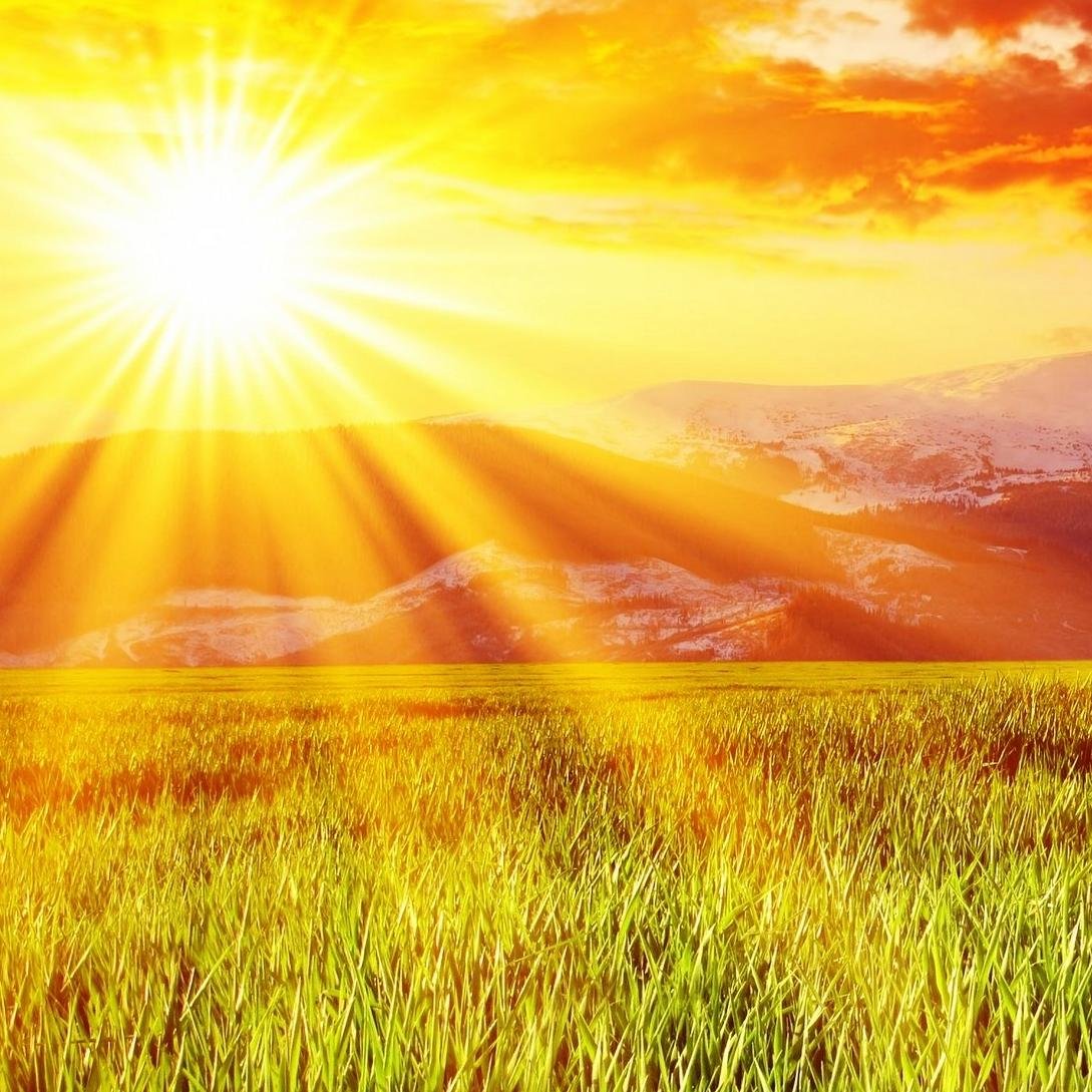 طالبة بجامعة الاميرة نورة
 ﻻ ﻳسأﻝُ ﻋﻨﻚَ ﺇﻻ ﻣَﻦ ﻳﻔﺘَﻘِﺪُﻙ ، ﻭﻻ ﻳﻔﺘﻘِﺪُﻙ ﺇﻻ ﻣَﻦ ﻳُﻼﺣِﻆ ﻣﺴﺎﺣﺔ ﺍﻟﻔَﺮﺍﻍِ ﻣِﻦ ﺑﻌﺪﻙ