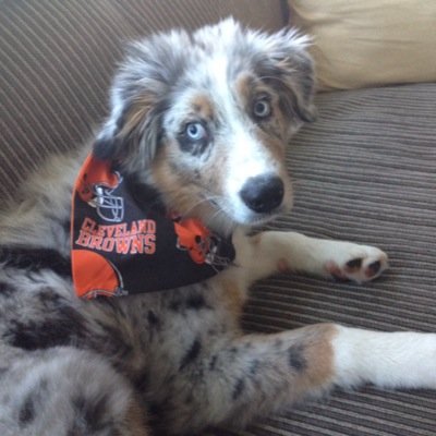 bob_nemeth's profile picture. truth spittin'