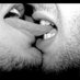 Carlos (@jeanbarqto) Twitter profile photo