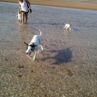 Erica Bouwer (@ekkab_est84) 's Twitter Profile