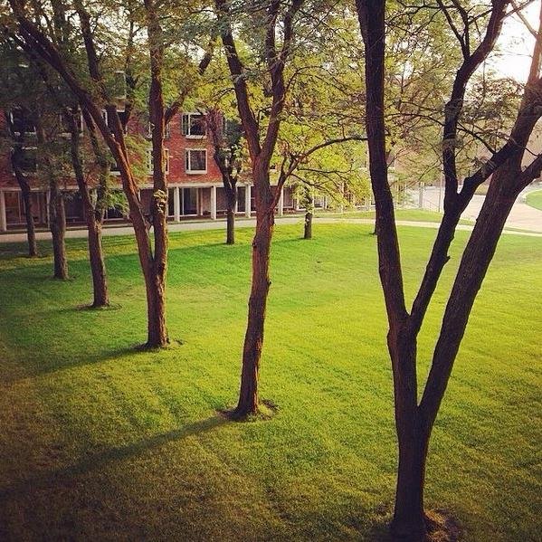 Drake_GK's profile picture. Drake University's largest upperclassmen residence hall.