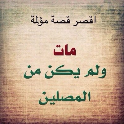 7DC55A17. B