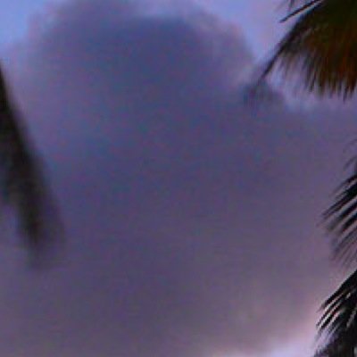 QueensVeils's profile picture. 