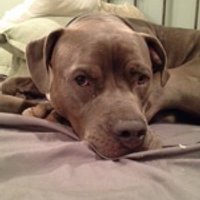 M Myers (@m1089pm) 's Twitter Profile