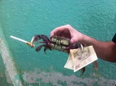Foda se