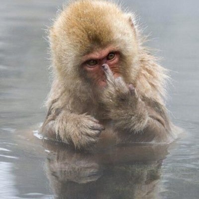 Smowing71's profile picture. ...faith is being sure of what we hope for and certain of what we do not see.