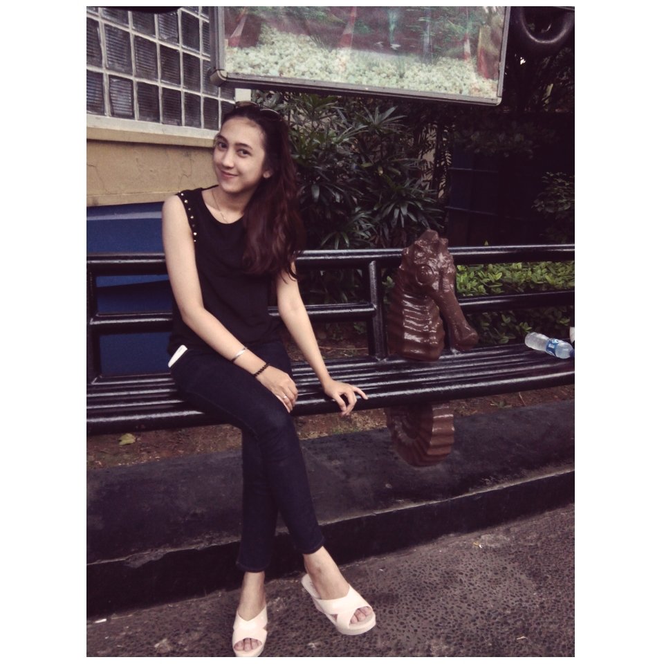 Instagram | Path | Line : Nova Synthia