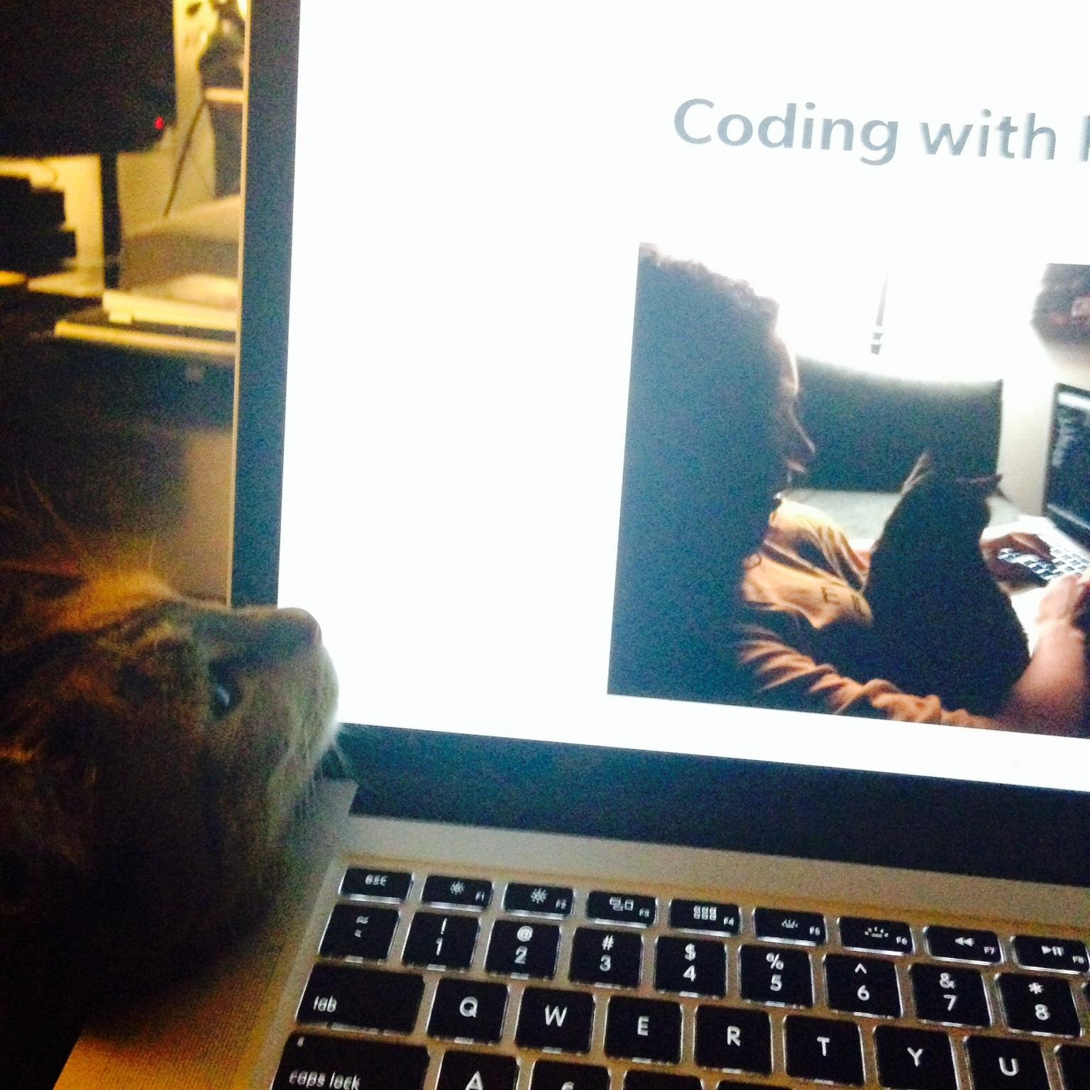 Commandeering keyboards and optimizing code for engineers around the globe.