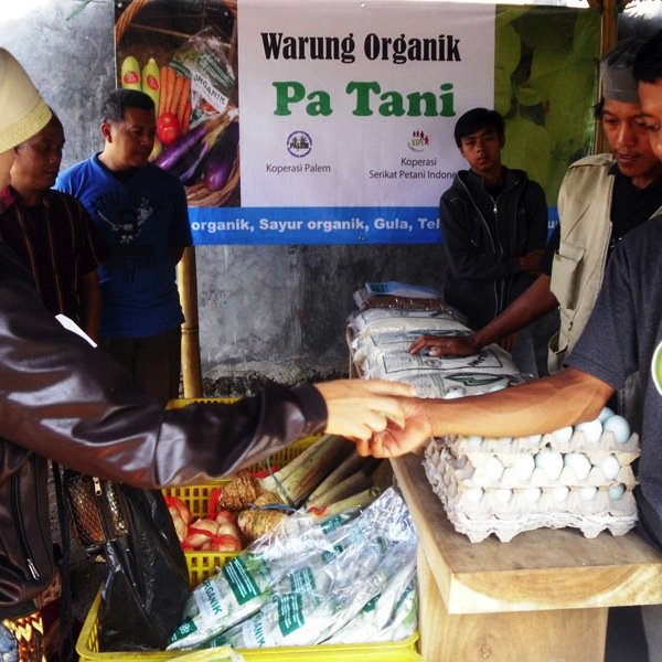 koperasi_ts's profile picture. 