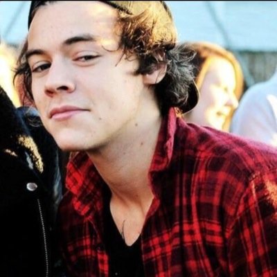 i just really love harry styles thats all