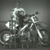 Dennis D. Senebald (@dsenebald) Twitter profile photo Dennis D. Senebald (@dsenebald) Twitter profile photo