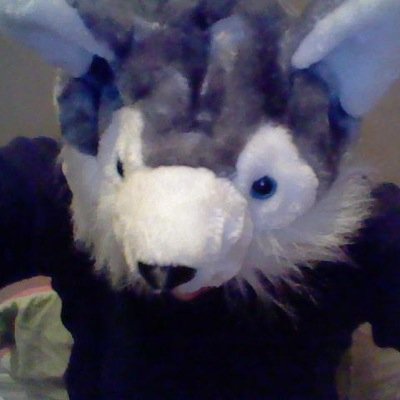 Hi