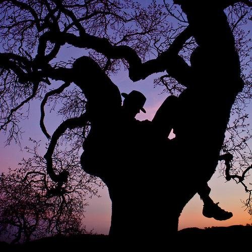 My brain is like a forest. Sometimes calm and fun, sometimes dark and depressing.My thoughts pop up randomly and sporadically. Take a stroll thru if you want.
