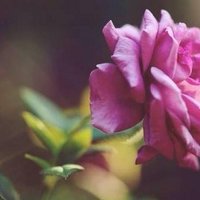 دُعـاآء  | ོ ☁️ (@gz22z) 's Twitter Profile Photo