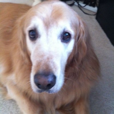 Drelkie's profile picture. 