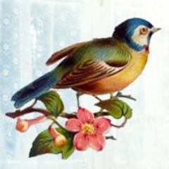 MissesNilsson's profile picture. As Misses Nilsson we are writing, composing and producing our songs. 
We hope that our melodies catch you and the words touch you.