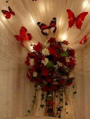 nuvia_mugarte's profile picture. ٩(,)/(ッ)\(,)۶Bendecida y agradecida de Dios..  °))))⋘ °))))⋘♥✿☆҉❥❥❥ ❥☆♡♡☆☆✿