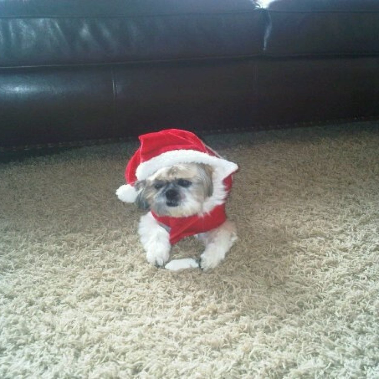 olson_cory's profile picture. 