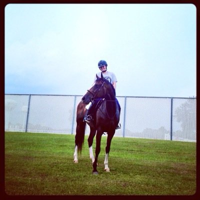 Equestrian.