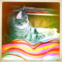 Tinitime (@tinitime40) 's Twitter Profile