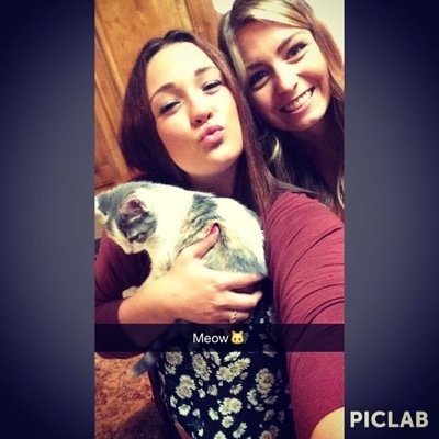 crazy cat lady