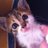 Anastasakis3's profile image