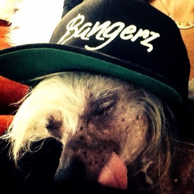 I'm a boss ass Cresty. Tongue originator but Miley made it sexy and famous! I tweet all things Miley and her dogs. Mary Jane should be my girlfriend.
