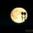Szlerim_Silahm's profile image