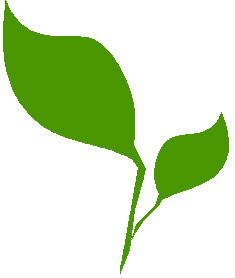 newfutures's profile picture. Integrated, culturally relevant programs in low-income apartment complexes in South King County