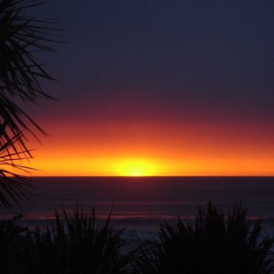 NathanTheMan123's profile picture. 