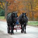 William Milam - @William_Milam - Twitter