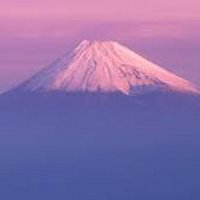 Lou Stefanovic (@knownvalue) 's Twitter Profile