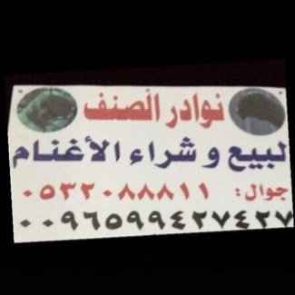 لبيع وشراء الاغنام ' نعيم صنف ' .. للاستفسار بوفهيد ( ٠٠٩٦٦٥٣٢٠٨٨٨١١)