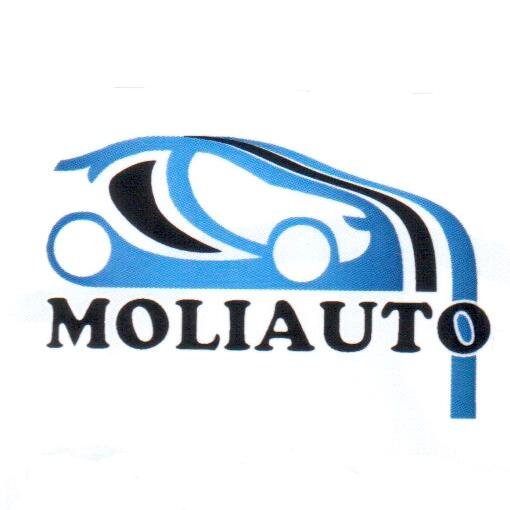 Moliautosrl's profile picture. 