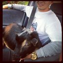 anthony vallejo - @antvallejo21 - Twitter